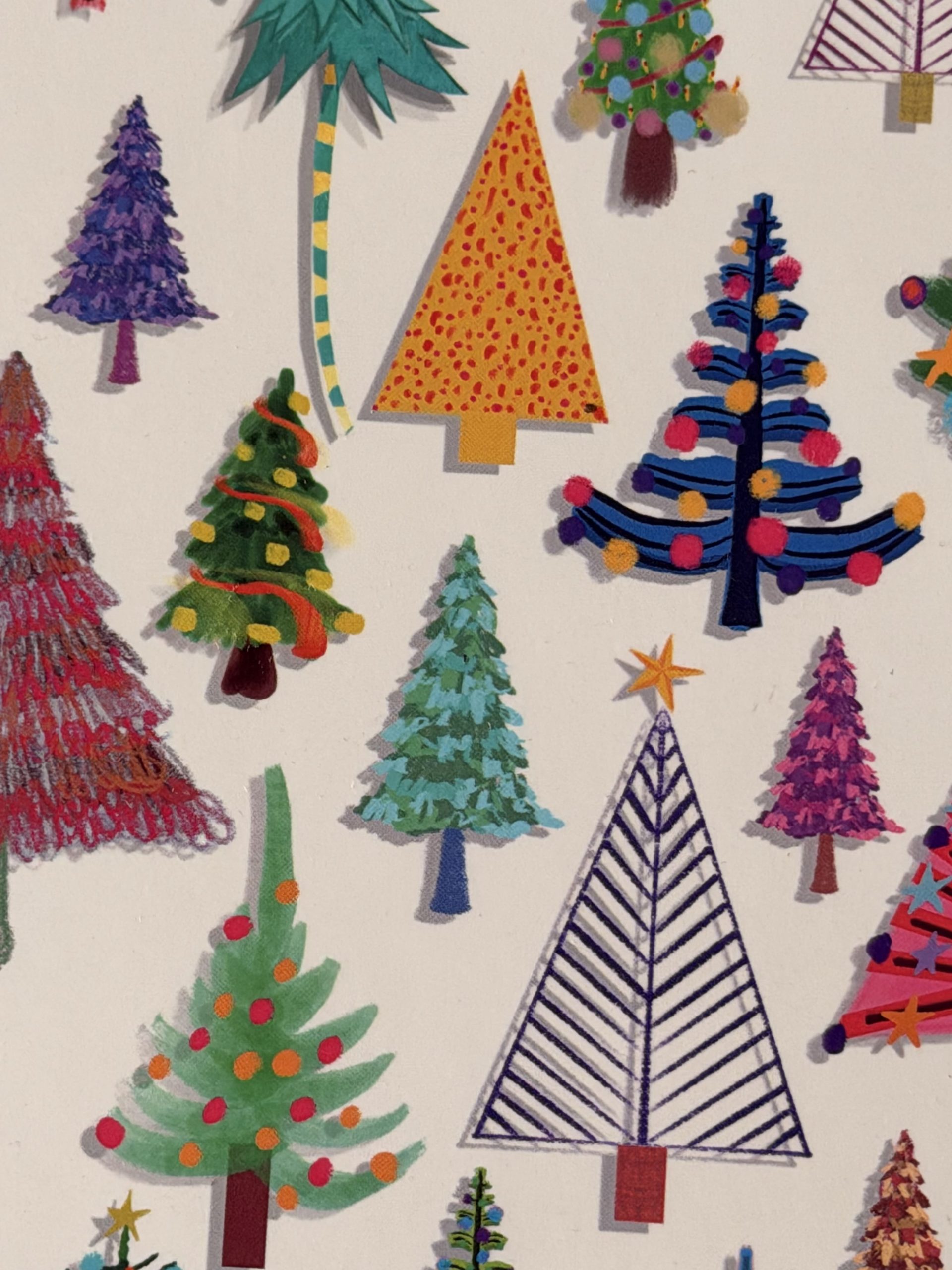 5000 Árboles de Navidad - Imagen 3
